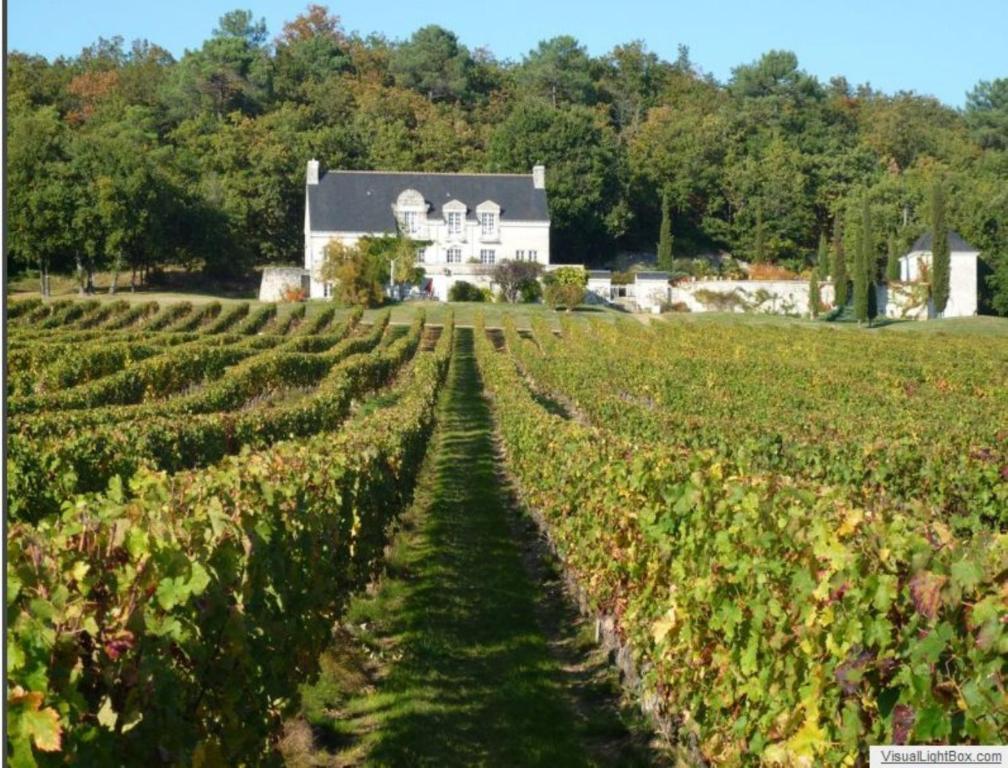 Domaine Beausejour Bed & Breakfast Panzoult Exterior photo